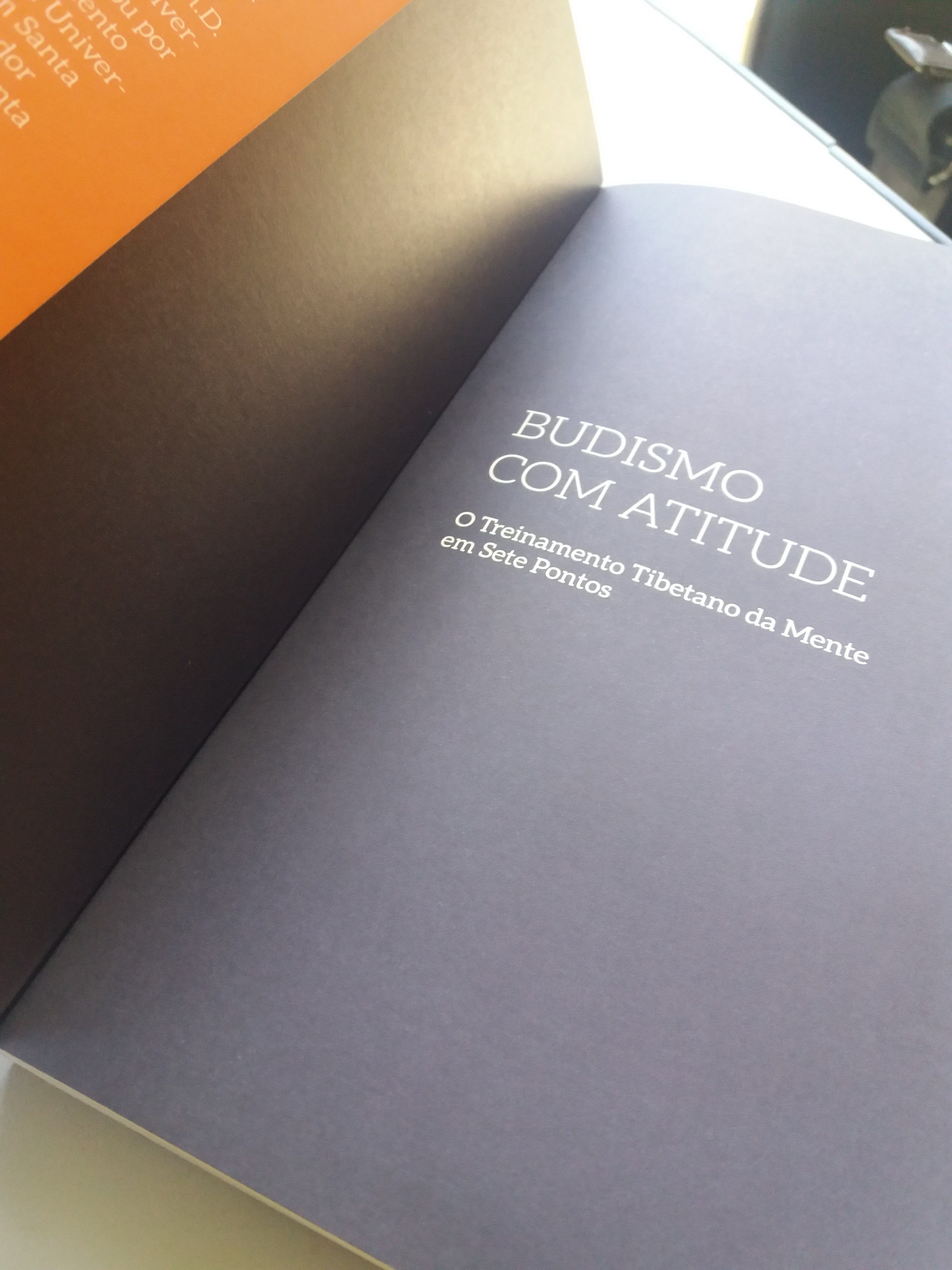 Budismo com atitude, de Alan Wallace