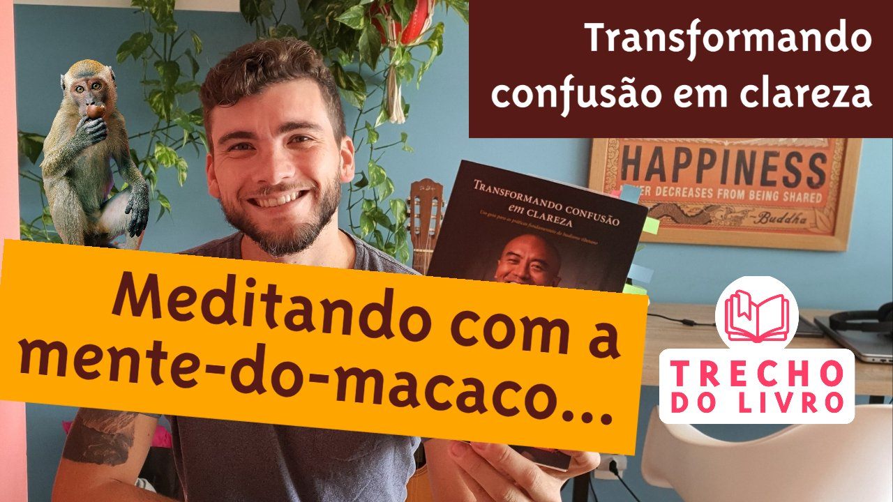 Descobrindo a mente-do-macaco