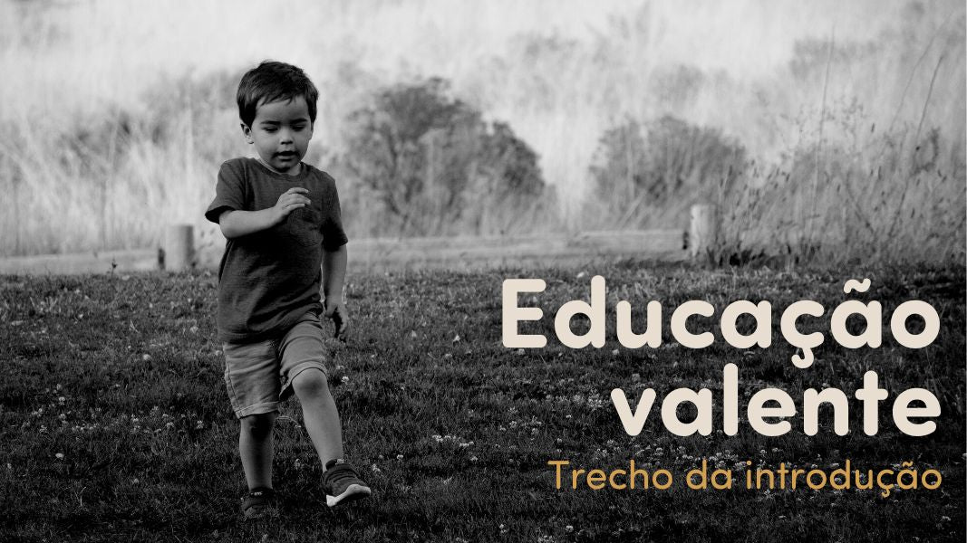 Trecho da introdução do livro "Educação valente"