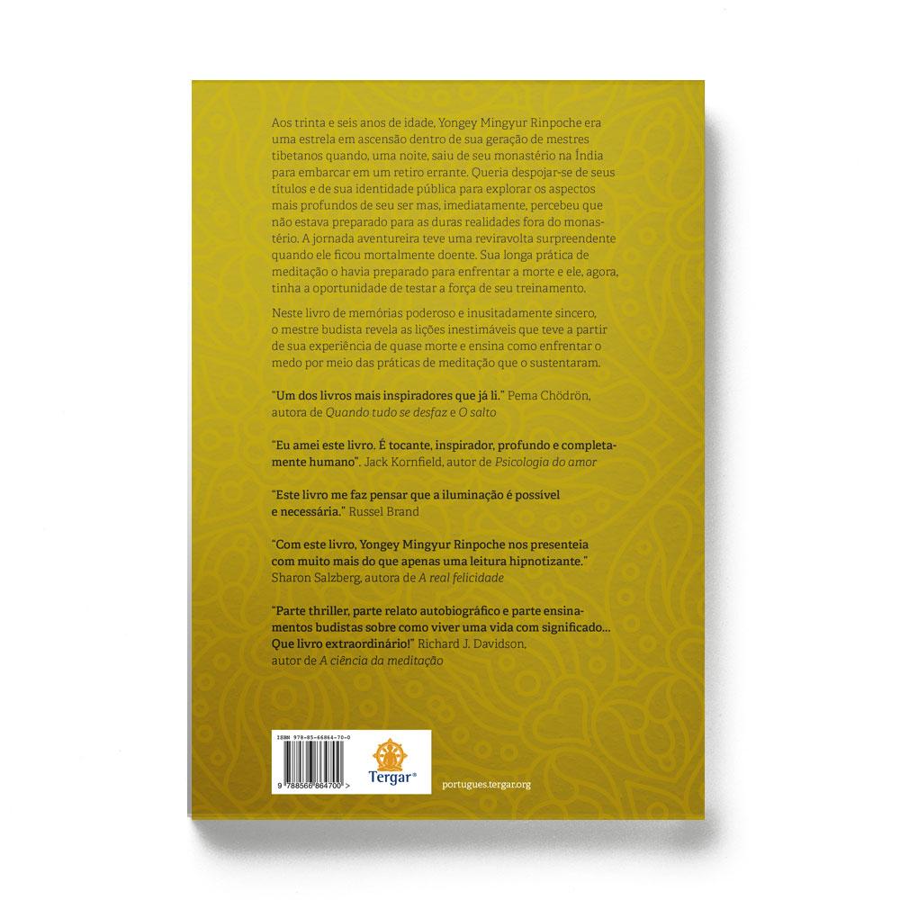 Apaixonado pelo mundo: a jornada de um monge pelos bardos do viver e do morrer