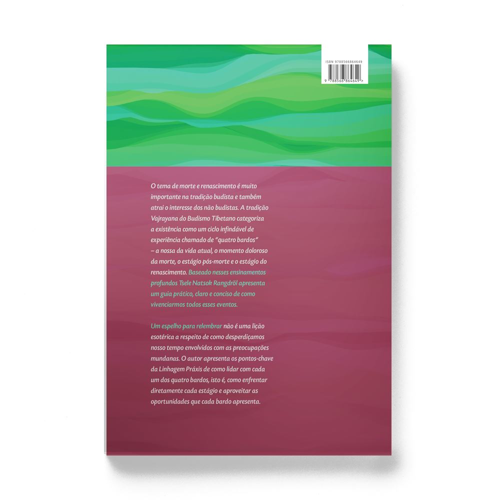 Um espelho para relembrar: esclarecimento dos pontos gerais dos Bardos