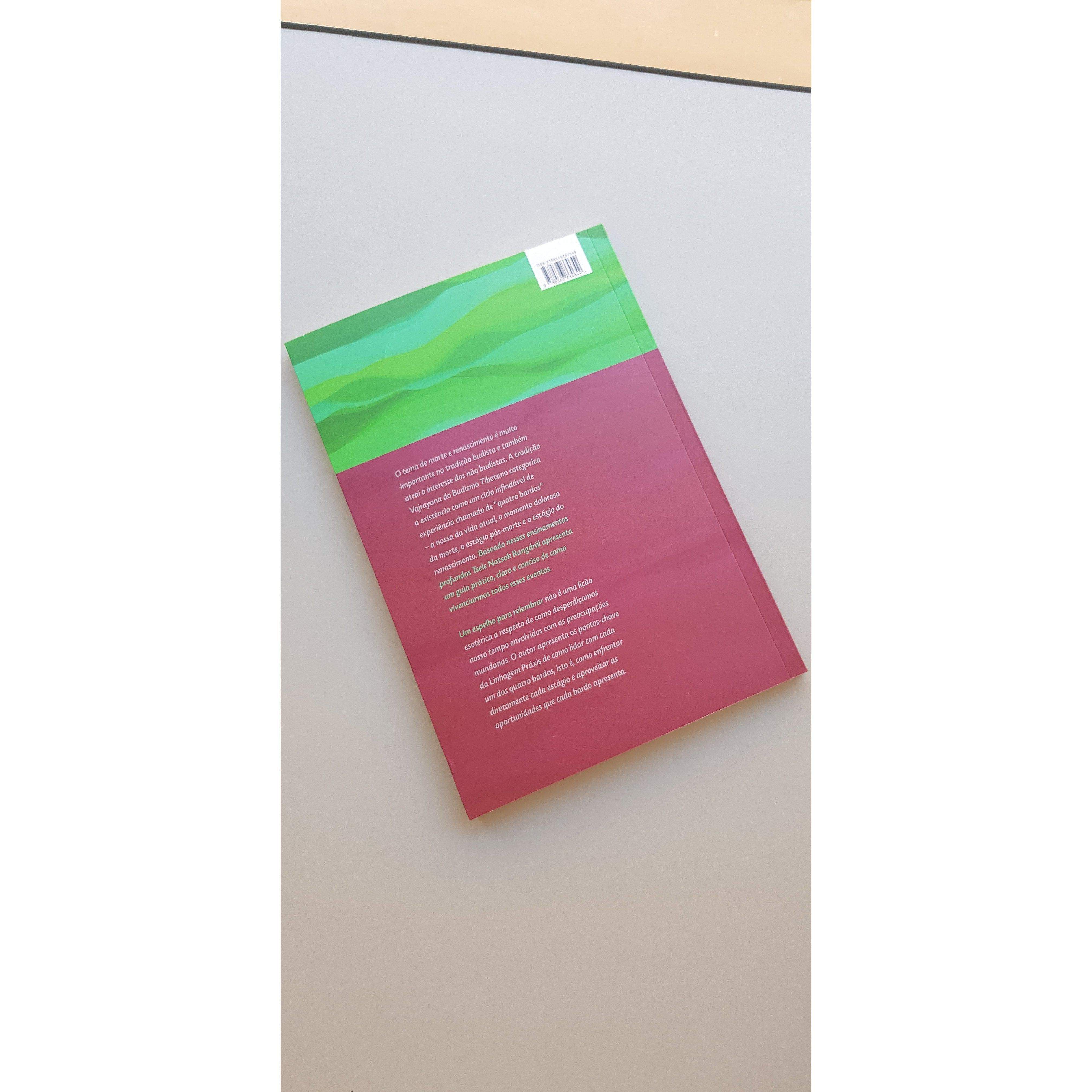 Um espelho para relembrar: esclarecimento dos pontos gerais dos Bardos-Lúcida Letra