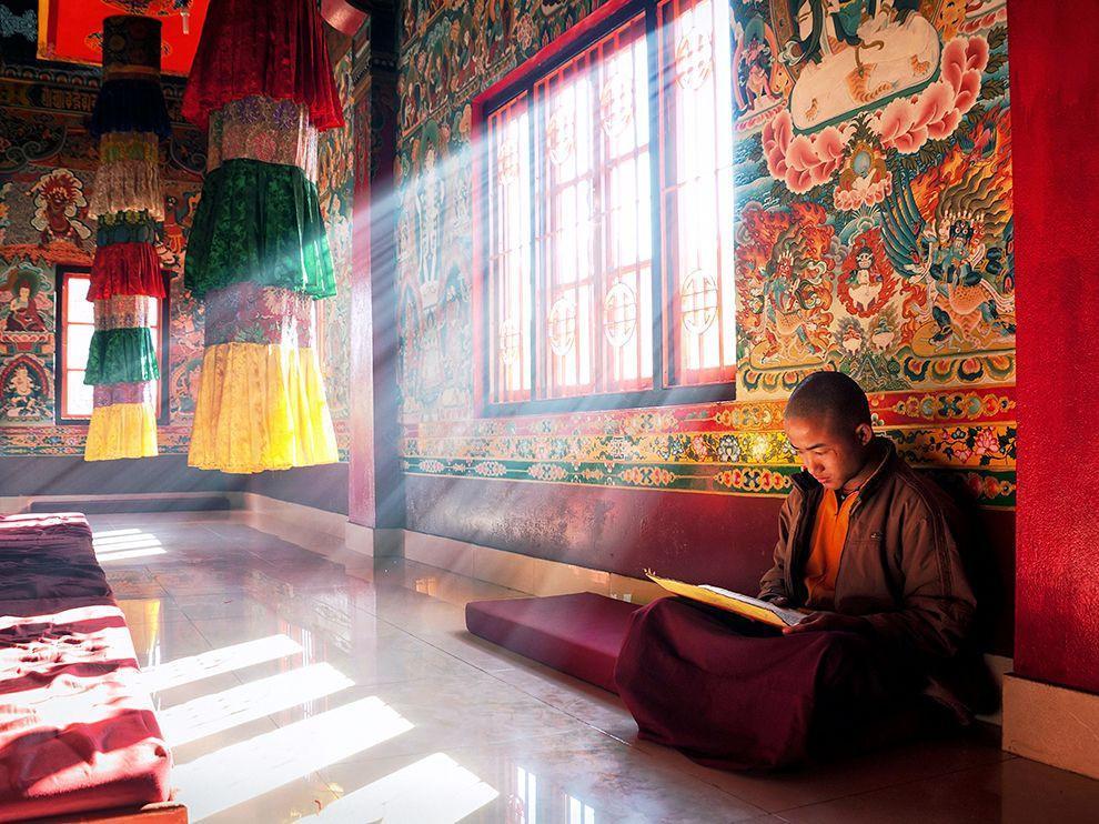 Monge estudando em templo