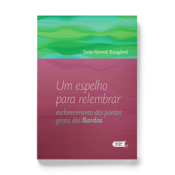 Um espelho para relembrar: esclarecimento dos pontos gerais dos Bardos
