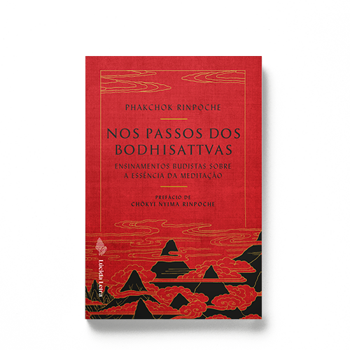 Nos passos dos bodhisattvas