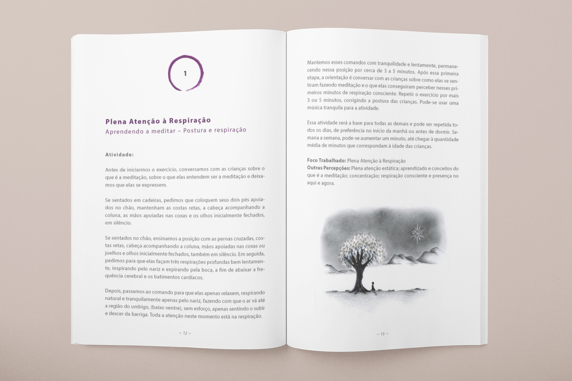 Páginas 12-13 do livro Crescendo Zen Vol.2